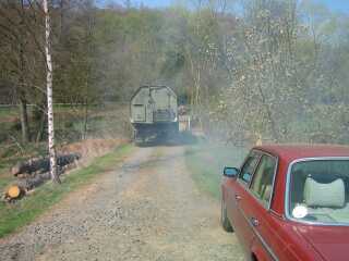 Hier gibt es schwarze Nasenl�cher...